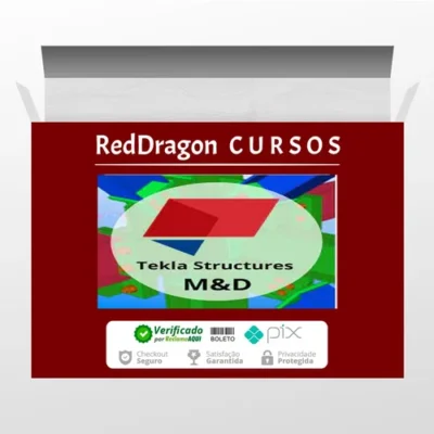 Curso Tekla Structures M&D - Fernando de Cesaro