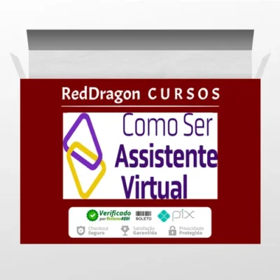 Como Ser Assistente Virtual - Camile Just